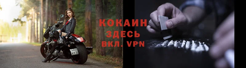 где можно купить   Дагестанские Огни  COCAIN VHQ 