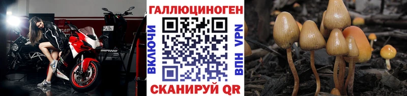 Псилоцибиновые грибы прущие грибы маркетплейс клад Дагестанские Огни