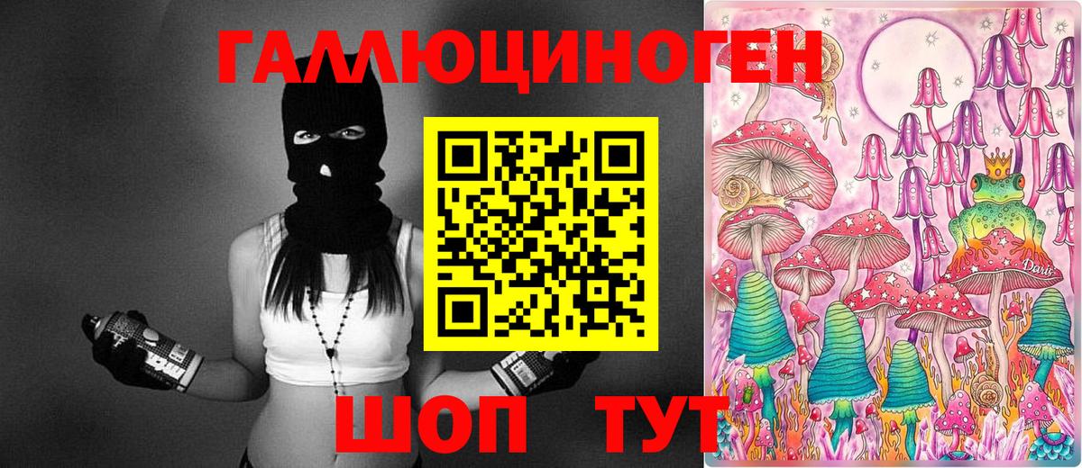 Псилоцибиновые грибы Cubensis  Дагестанские Огни 