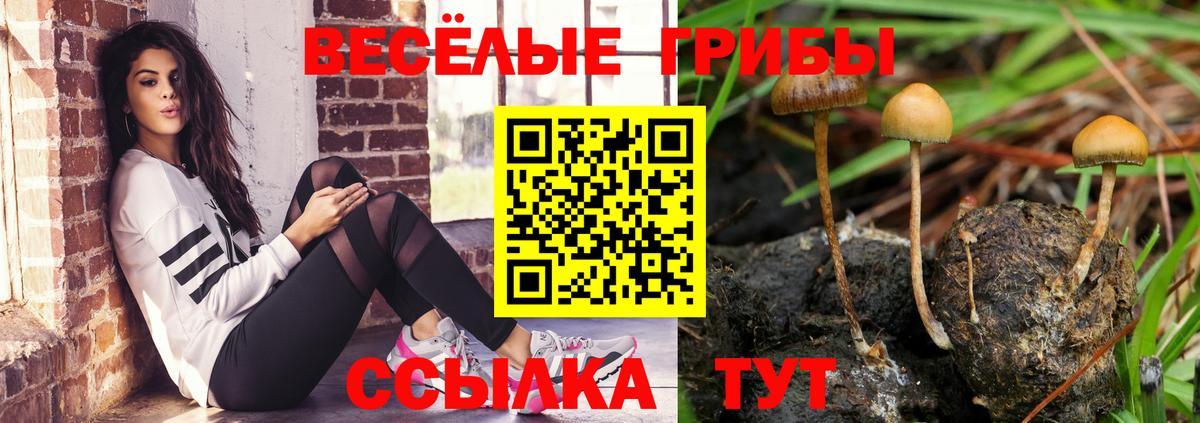 Галлюциногенные грибы мухоморы Дагестанские Огни