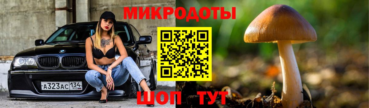 Дагестанские Огни  Галлюциногенные грибы Psilocybine cubensis  Вход с VPN 